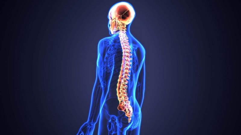 علائم ضایعه نخاعی و عوارض آن | کلینیک مغز و اعصاب اصفهان