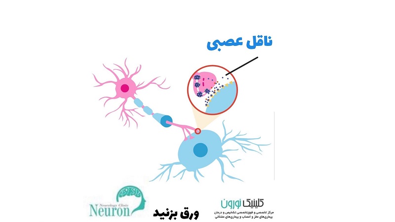 ناقل عصبی (نوروترانسمیتر) | کلینیک مغز و اعصاب اصفهان