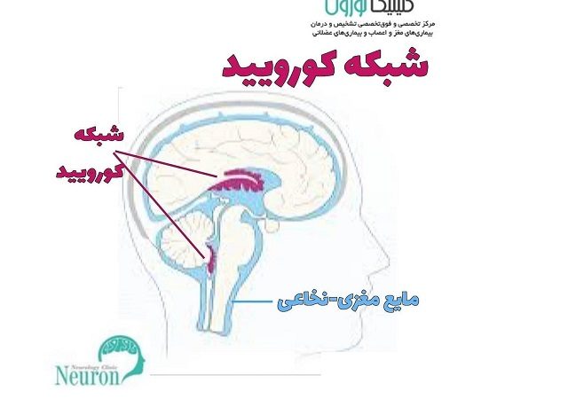 شبکه-کورویید