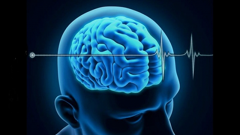 علل و علائم زندگی نباتی