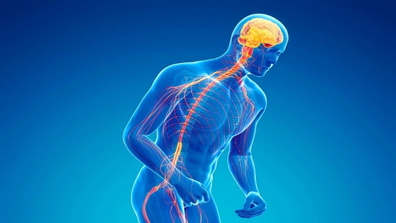 علائم بیماری پارکینسون، روش‌های تشخیص و داروهای مورد استفاده | کلینیک مغز و اعصاب اصفهان | کلینیک تخصصی مغز و اعصاب نورون