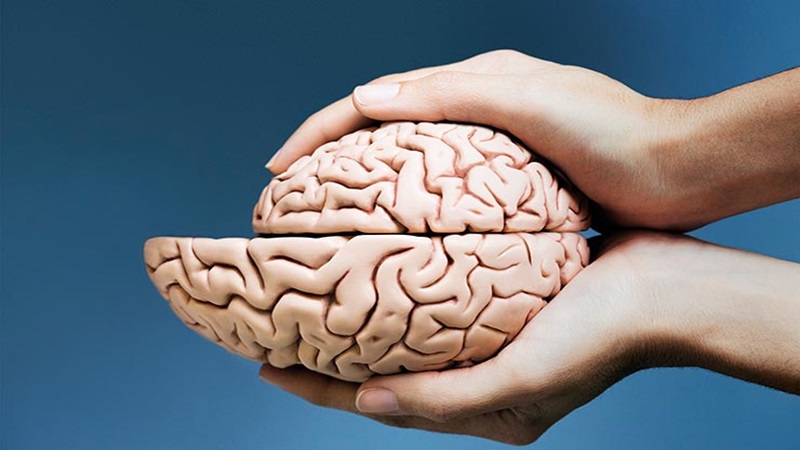 کلینیک مغز و اعصاب اصفهان | کلینیک تخصصی مغز و اعصاب نورون