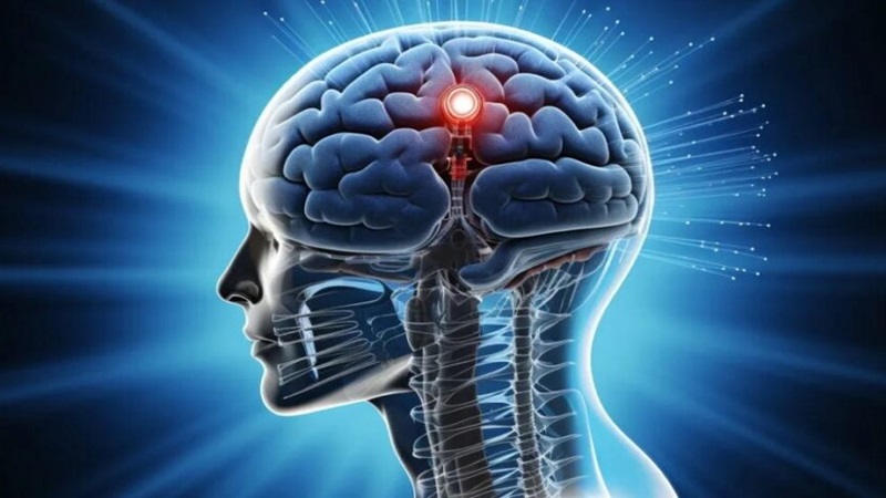 بررسی آسیب‌های مغزی | کلینیک مغز و اعصاب اصفهان | کلینیک تخصصی مغز و اعصاب نورون