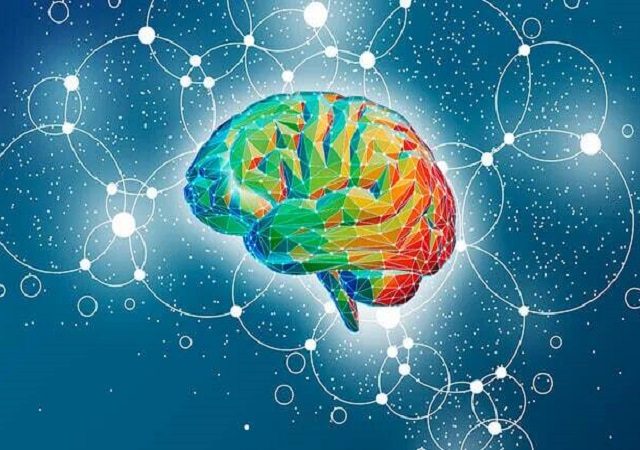 عوامل محیطی و توسعه مغز | کلینیک مغز و اعصاب اصفهان | کلینیک تخصصی مغز و اعصاب نورون