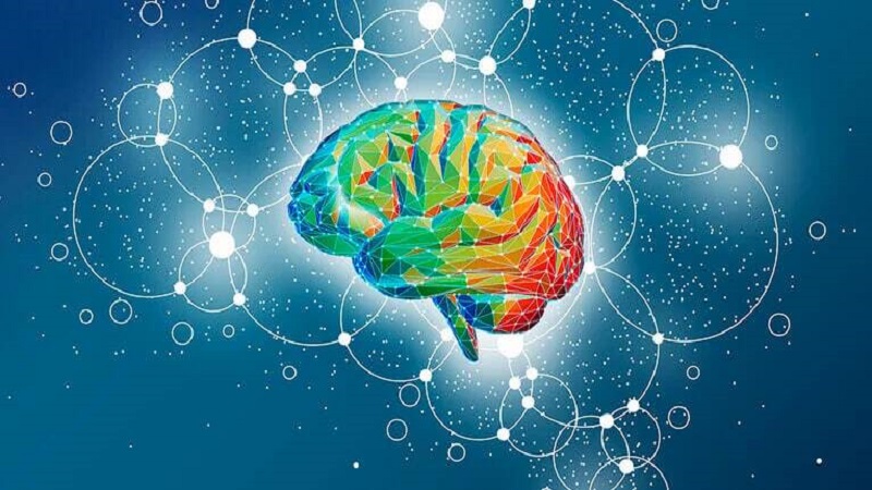 عوامل محیطی و توسعه مغز | کلینیک مغز و اعصاب اصفهان | کلینیک تخصصی مغز و اعصاب نورون