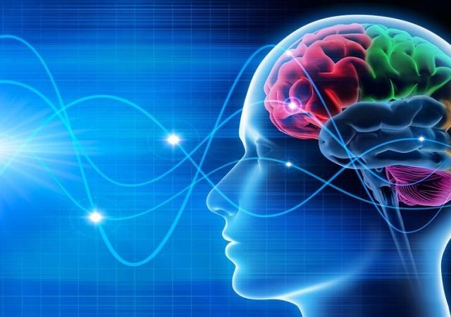 عصب‌شناسی اجتماعی | کلینیک مغز و اعصاب اصفهان | کلینیک تخصصی مغز و اعصاب نورون