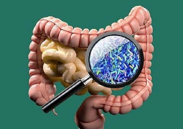 تأثیر میکروبیوم روده بر مغز | کلینیک مغز و اعصاب اصفهان | کلینیک تخصصی مغز و اعصاب نورون