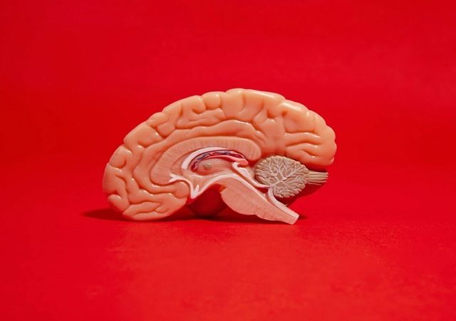 عوامل خطر بیماری‌های عروقی مغز | کلینیک مغز و اعصاب اصفهان | کلینیک تخصصی مغز و اعصاب نورون