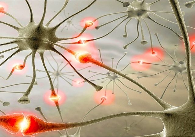 تغییرات سیناپسی و تأثیر آن‌ها بر اختلالات یادگیری | کلینیک مغز و اعصاب اصفهان | کلینیک تخصصی مغز و اعصاب نورون