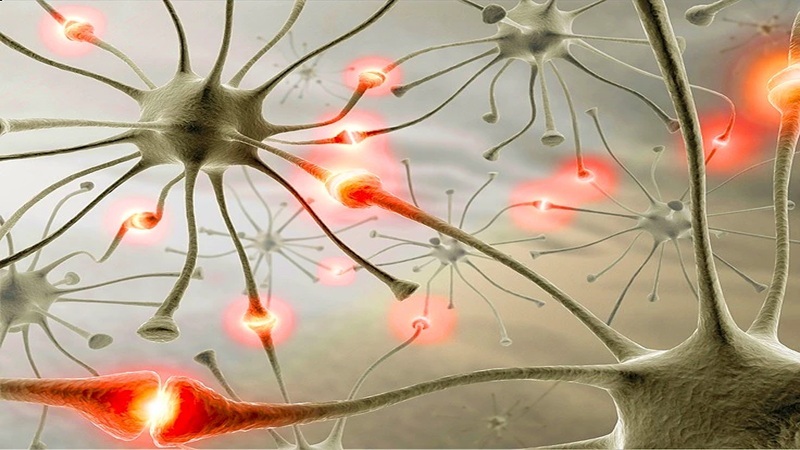 تغییرات سیناپسی و تأثیر آنها بر اختلالات یادگیری | کلینیک مغز و اعصاب اصفهان | کلینیک تخصصی مغز و اعصاب نورون
