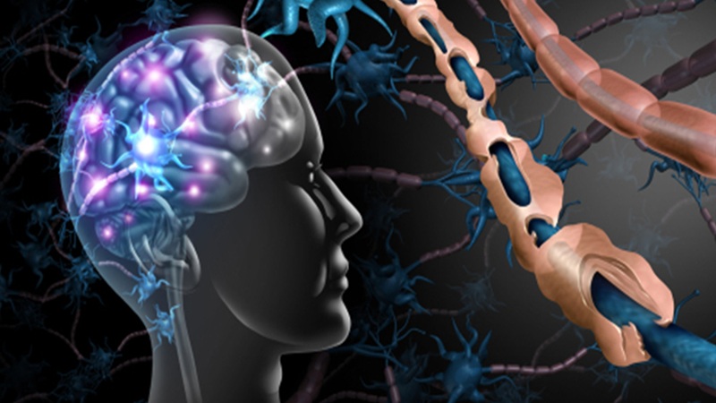 نورونهای سرکوبگر و اختلالات خودایمنی مغز | کلینیک مغز و اعصاب اصفهان | کلینیک تخصصی مغز و اعصاب نورون